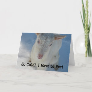 So kalt! Ich muss pinkeln! Karte