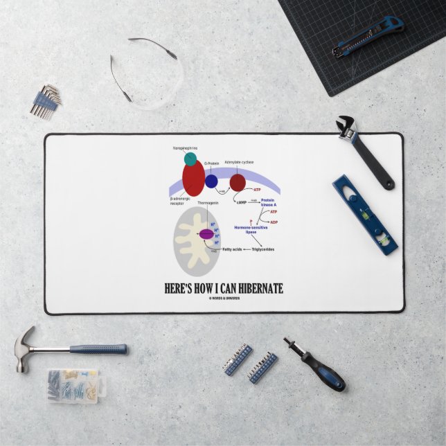 So kann ich Thermogenese Hibernate Schreibtischunterlage (Arbeitsplatz)