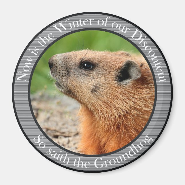 So sagt der Grundhaken Magnet (Vorne)