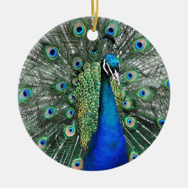 So stolz wie ein Pfau Keramik Ornament (Vorne)