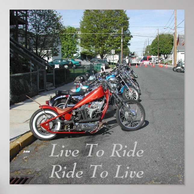 So viele Auswahlmöglichkeiten so wenig Zeit!! Poster (Vorne)