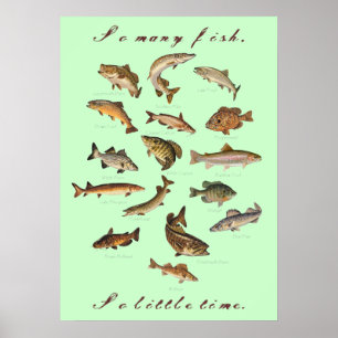 So viele Fische, so wenig Zeit Poster