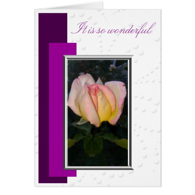 So wunderbar (Vorne)