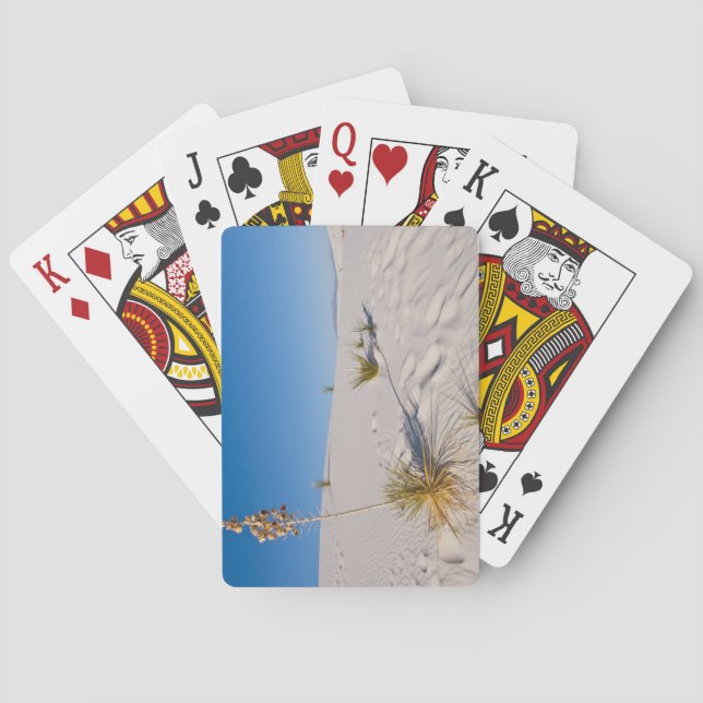 Soaptree Yucca, langer Schatten, Transverse Dunen Spielkarten (Rückseite)