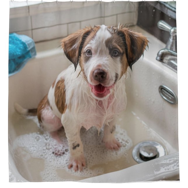 Soapy Wet Puppy Bath Dusche Vorhang (Vorderseite)
