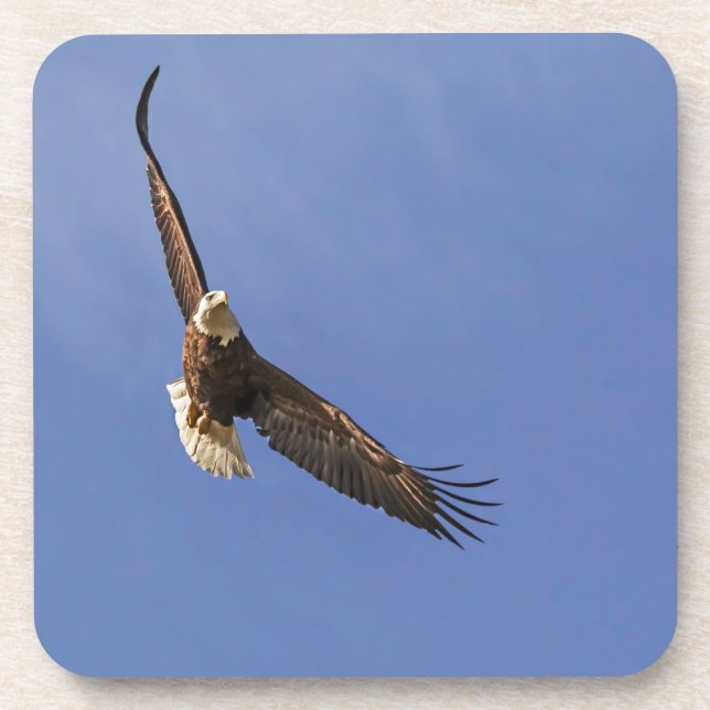 Soaring Bald Eagle Getränkeuntersetzer (Vorderseite)