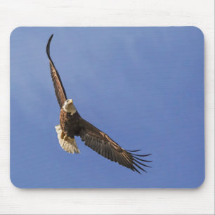 Soaring Bald Eagle Mousepad