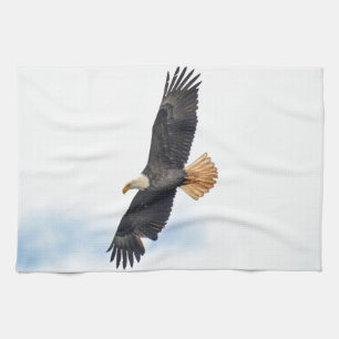 Soaring Bald Eagle Wildife Foto Art Geschirrtuch