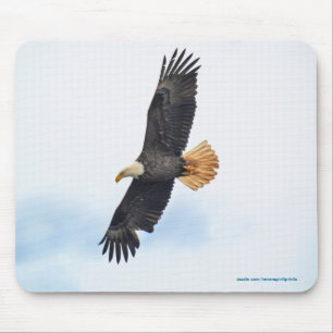 Soaring Bald Eagle Wildife Foto Art Mousepad