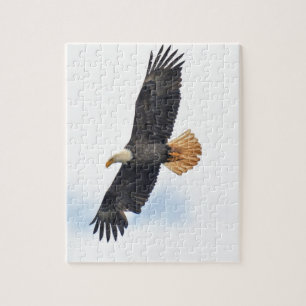 Soaring Bald Eagle Wildife Foto Art Puzzle