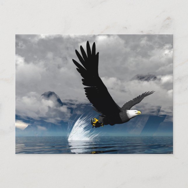 Soaring Eagle Postcard Postkarte (Vorderseite)