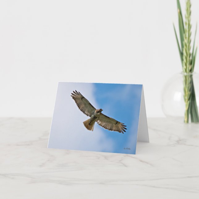 Soaring Hawk Note Card Karte (Vorderseite)