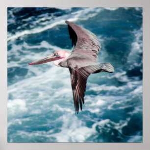 Soaring Poster