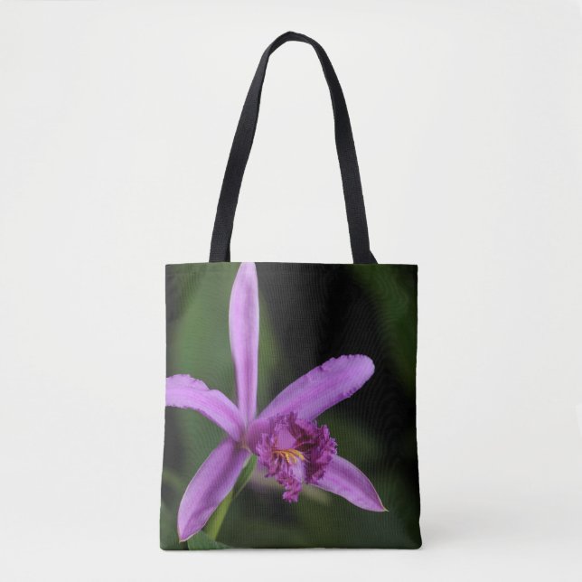 Sobralia Bouchei (Vorderseite)