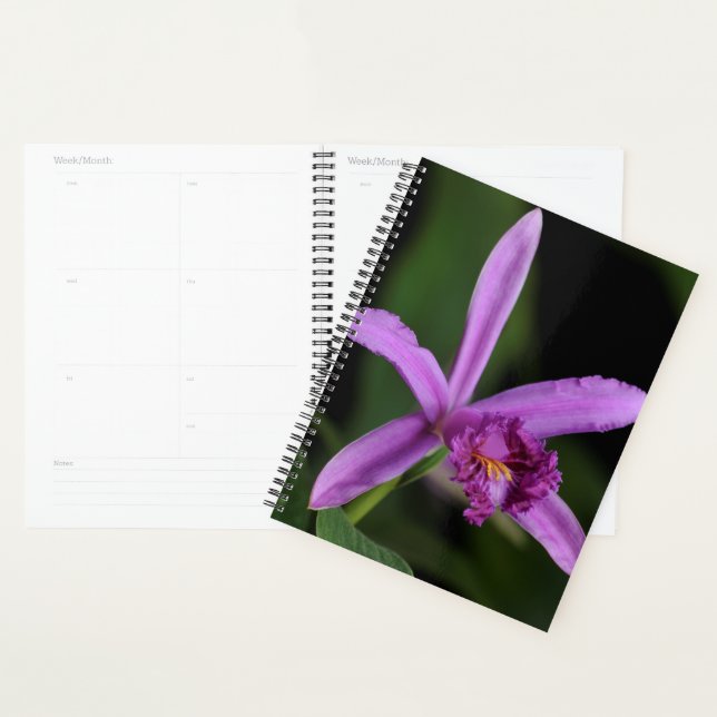 Sobralia Bouchei Planer (Anzeige)