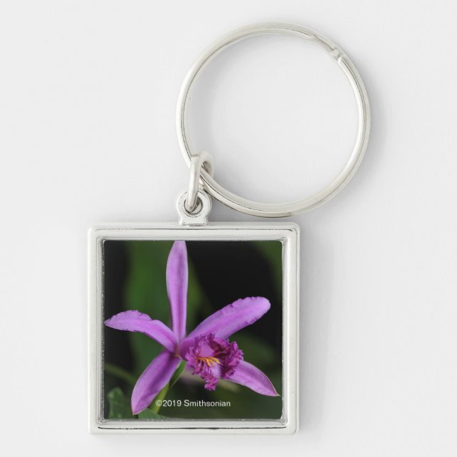 Sobralia Bouchei Schlüsselanhänger (Vorne)