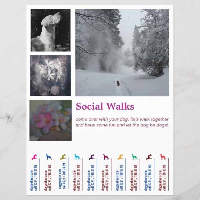 Social Dog geht Ripp Off  Flyer (Vorne)
