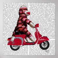 Sock Monkey auf Moped