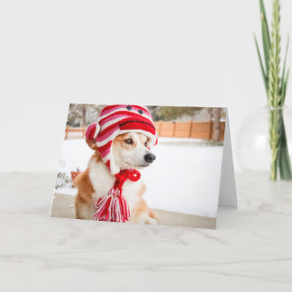 Sock Monkey Hat Corgi leere Grußkarte Karte