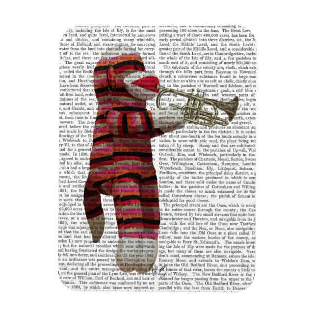 Sock Monkey spielt Trumpet Magnet (Vertikal)