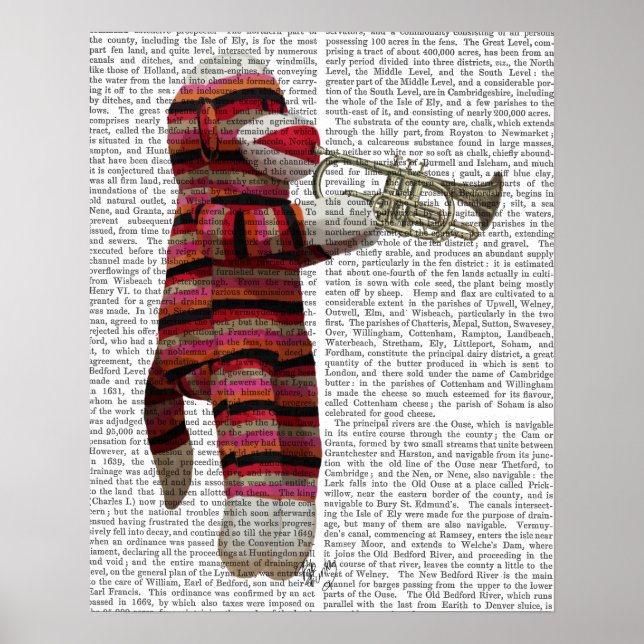 Sock Monkey spielt Trumpet Poster (Vorne)