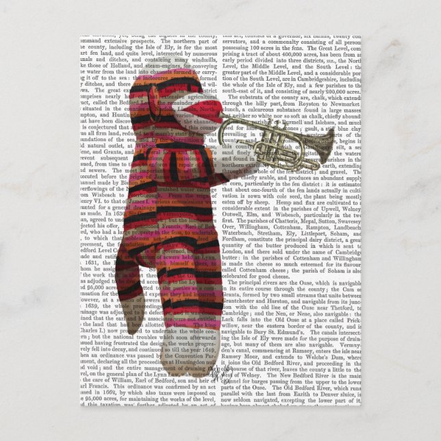 Sock Monkey spielt Trumpet Postkarte (Vorderseite)