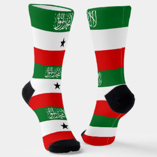  SOCKEN