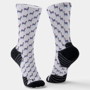  SOCKEN