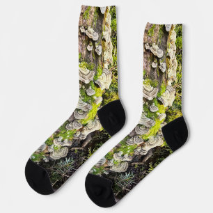 Socken. Design Truthahnschwanzpilze Socken