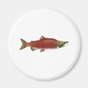 Sockeye Lachs Magnet