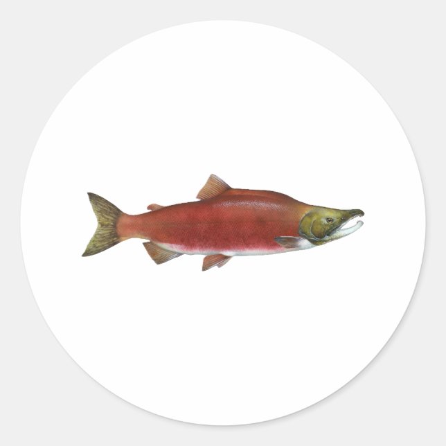Sockeye Lachs Runder Aufkleber (Vorderseite)