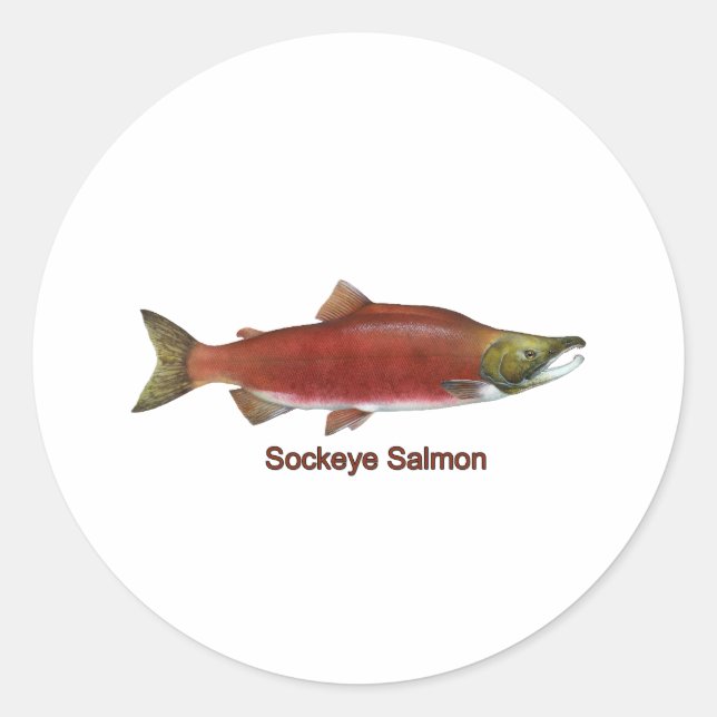 Sockeye - Roter Lachs (mit Titel) Runder Aufkleber (Vorderseite)