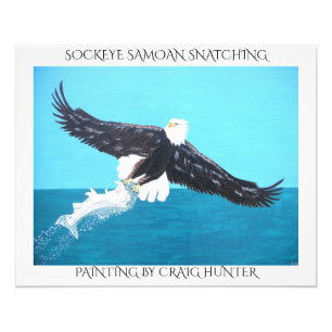 SOCKEYE SALMON SNATCHING FOTODRUCK