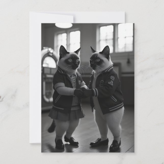 SockHop-Kätzchen (Vorderseite)