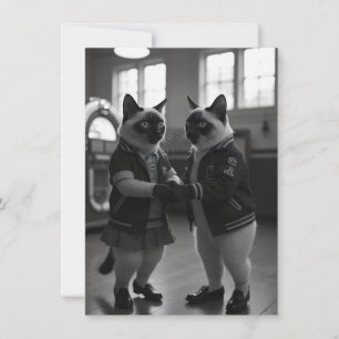 SockHop-Kätzchen