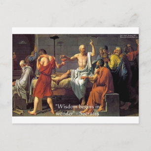 Socrates "Weisheit/Wunder" Zitat Geschenke T-Shirt Postkarte