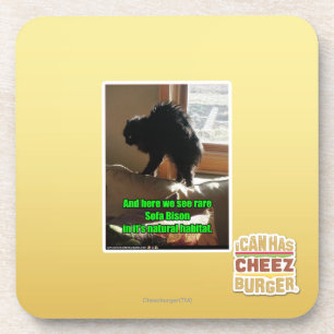 Sofa-Bison Getränkeuntersetzer