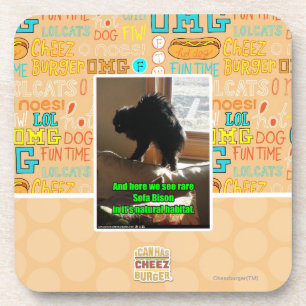 Sofa-Bison Getränkeuntersetzer