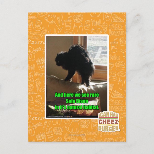 Sofa Bison Postkarte (Vorderseite)