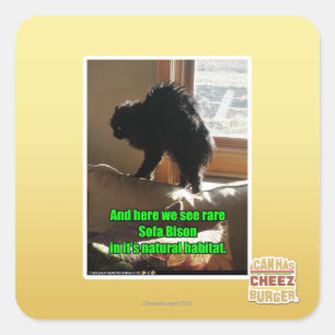 Sofa Bison Quadratischer Aufkleber