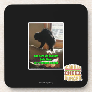 Sofa-Bison Untersetzer