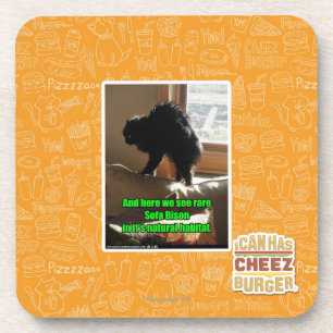 Sofa-Bison Untersetzer