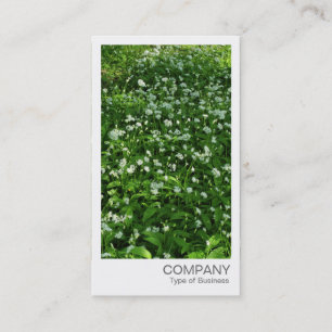 Sofortiges Foto - frei Knoblauch Visitenkarte