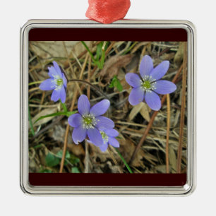 Soft Blue Hepatica Wildblume Ornament