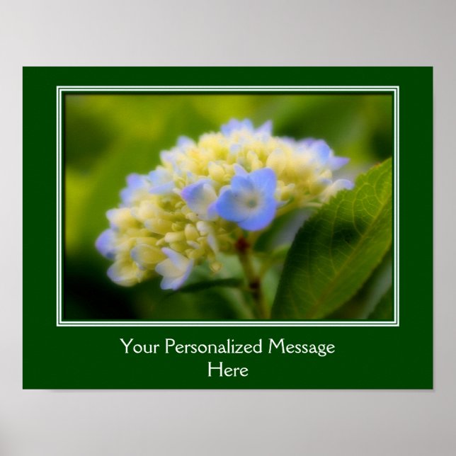 Soft Blue Hydrangea Blume Personalisiert Poster (Vorne)