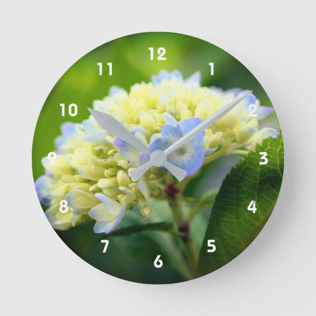 Soft Blue Hydrangea Blume Runde Wanduhr (Vorderseite)