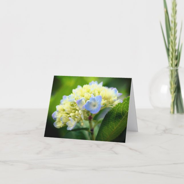 Soft Blue Hydrangea Flower Photography Note Karte (Vorderseite)
