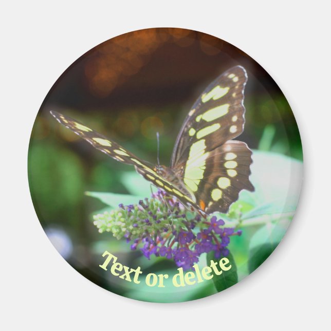 Soft Butterfly On Flower Nature Personalized Magnet (Vorne)
