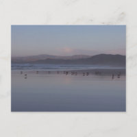 Soft California Coast Sunset