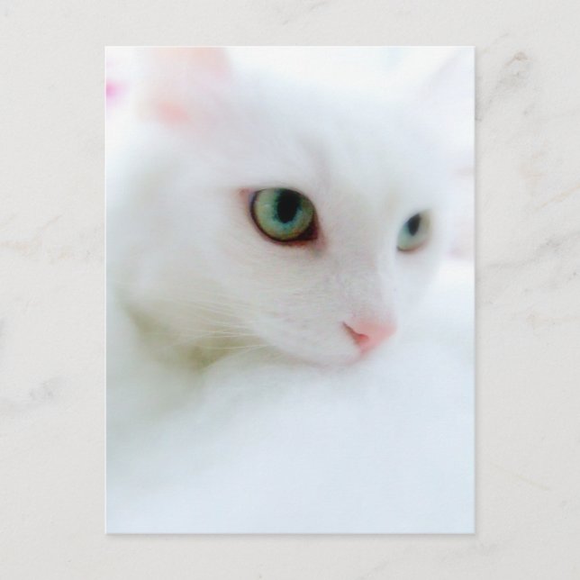 Soft Clouds Postkarte (Vorderseite)